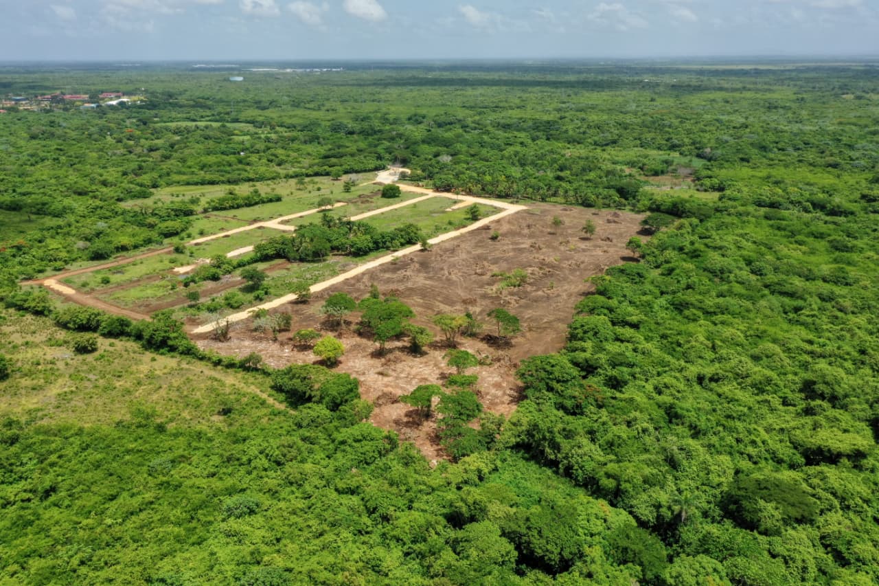 Residencial Los Beisbolistas II - Aerial View